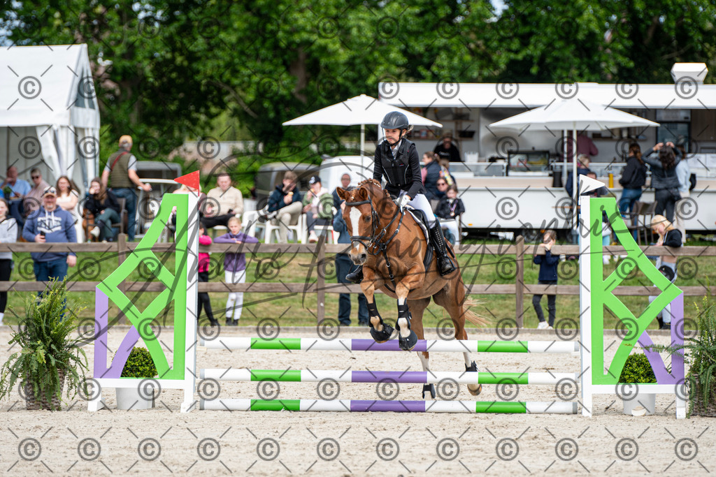 KPT_6037 | andre_photographic