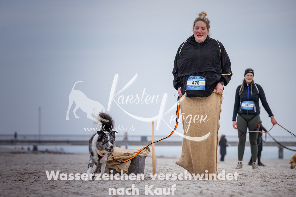 1212_ZZ92541 | kk-dogfotos