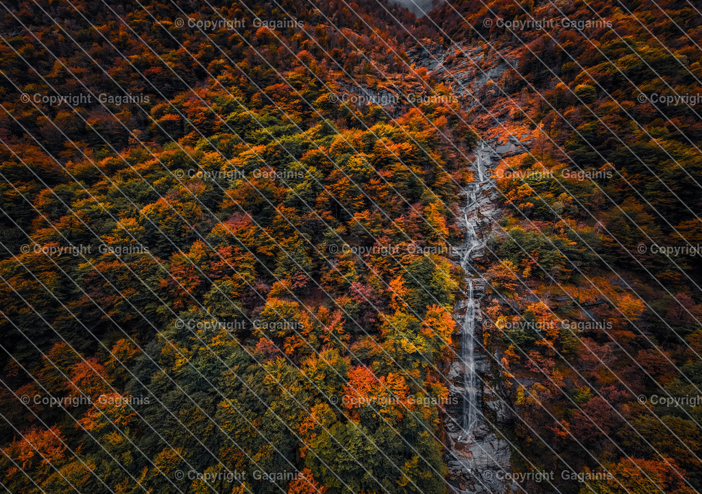 Tessin Herbstlandschaft Schweiz | Goldene Blätter, malerische Gassen und sanfter Herbstnebel – diese Fotografie bringt die magische Atmosphäre des Tessiner Herbstes in dein Zuhause. Perfekt für gemütliche Wohnräume oder als Geschenk für Naturliebhaber.