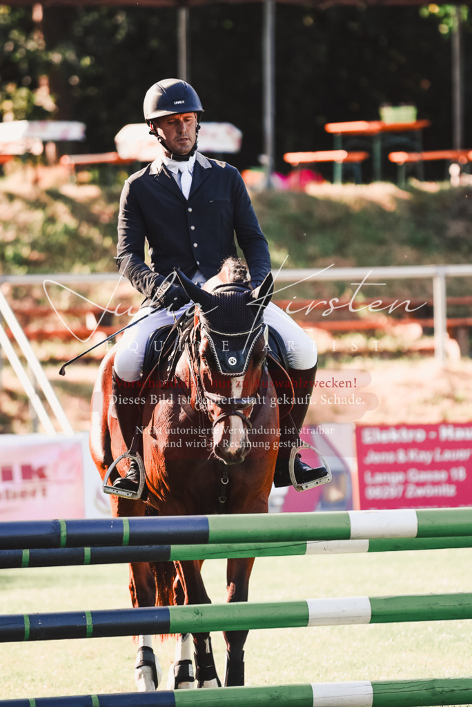 DSC_2200 | Pferde- und Turnierfotografie in Westsachsen. Pferdeportraits, Auftragszeichnungen und intuitive Kunst.