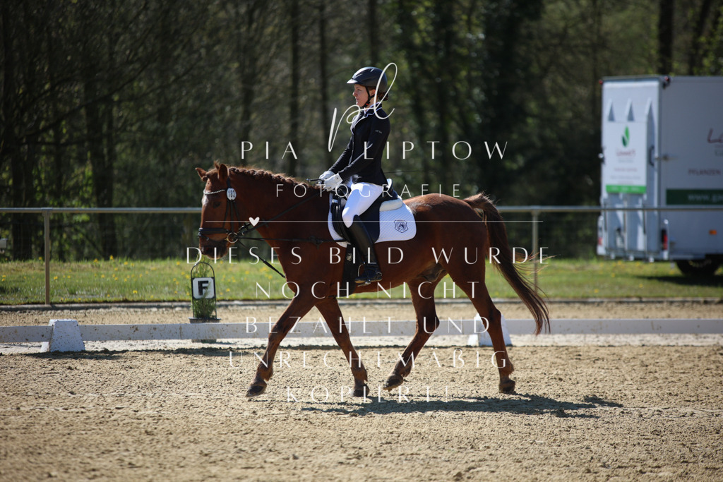 IMGT0559 | pl-fotografie