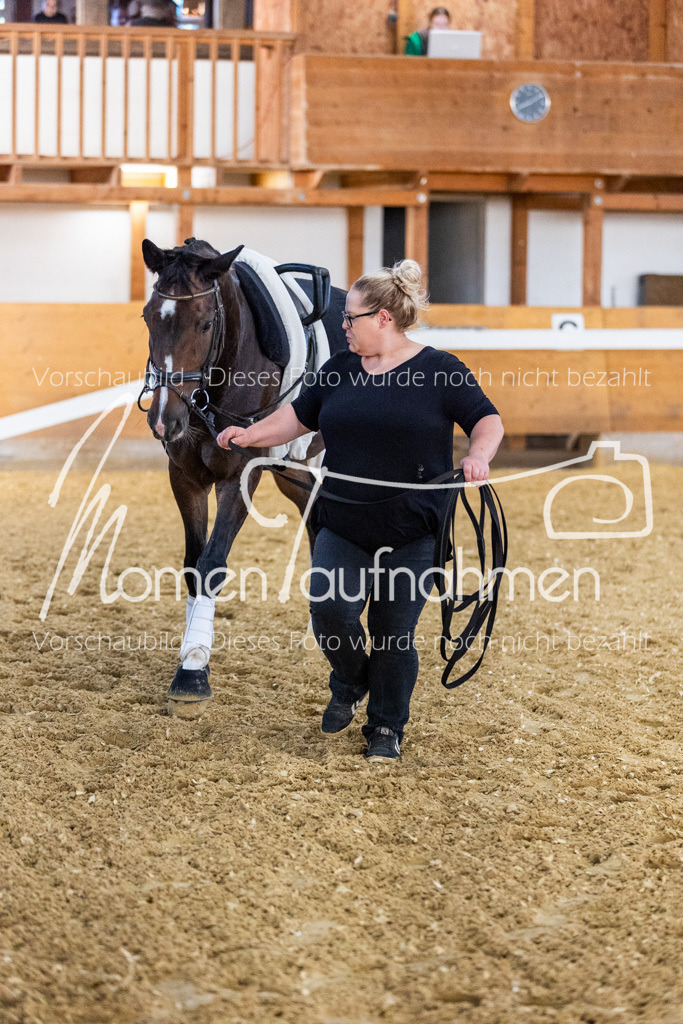 VTD-Voltigierpferde-054 | MomenTaufnahmen Pferdesportfotos