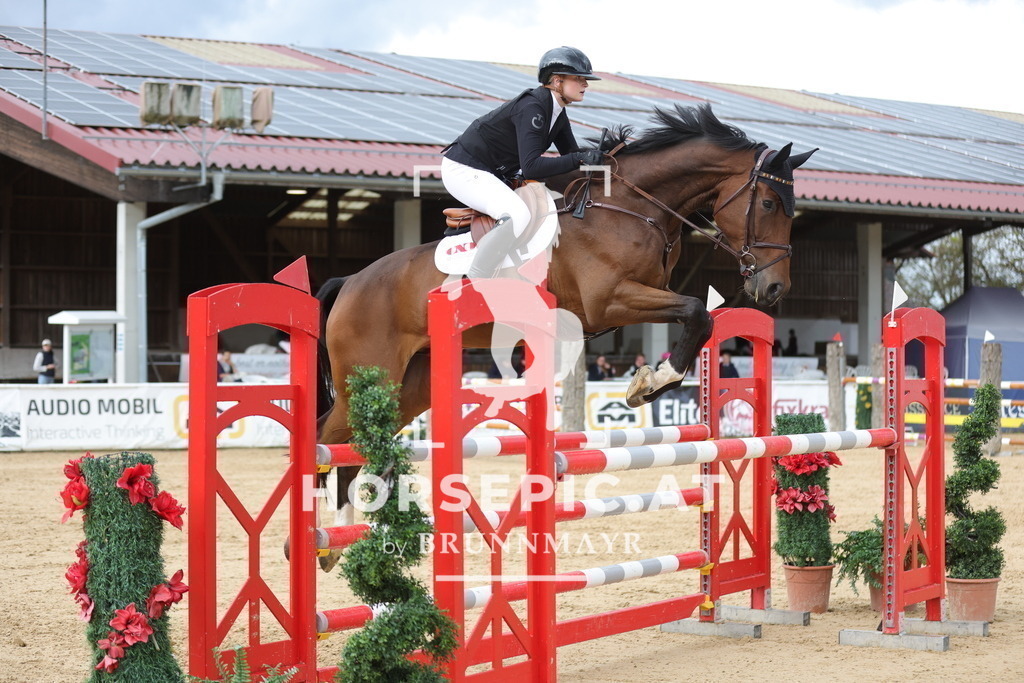 0P6A8889 | Willkommen bei Brunnmayr - Design & Fotografie – Ihrem Spezialisten für Reitturniere und Pferdeveranstaltungen in Oberösterreich, Salzburg und Bayern! Seit über 17 Jahren sind wir leidenschaftlich dabei.