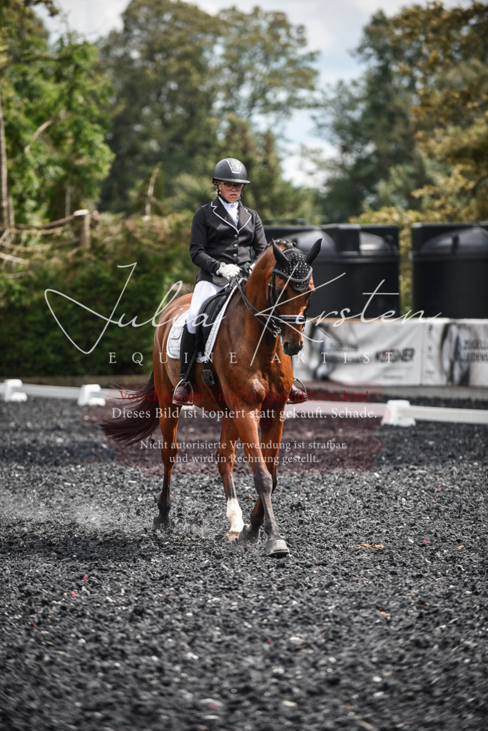 DSC_4970 | Pferde- und Turnierfotografie in Westsachsen. Pferdeportraits, Auftragszeichnungen und intuitive Kunst.