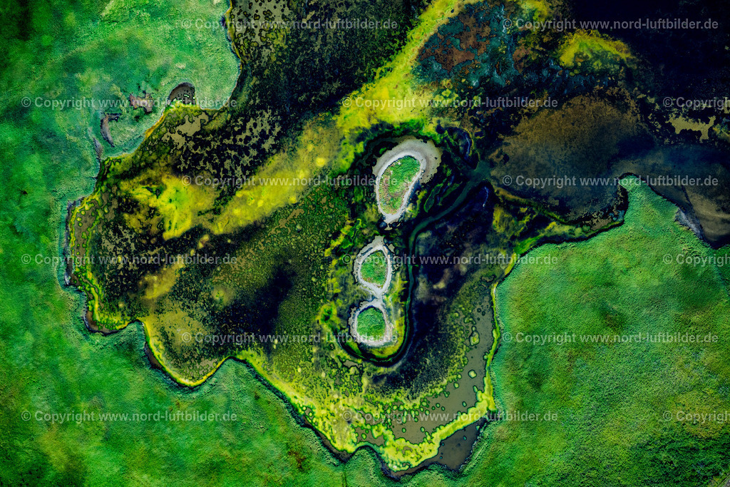 Sylt_Rantum_Rantumbecken_Salzwiesen_ELS_97213130825 | SYLT 13.08.2025 Grasflächen- Strukturen einer Feld- und Wiesen- Landschaft " Rantumbecken " in Sylt Nordsee - Insel im Bundesland Schleswig-Holstein, Deutschland. // Grass area structures of a salt marsh landscape " Rantumbecken " in Sylt North Sea Island in the state Schleswig-Holstein, Germany. Foto: Martin Elsen