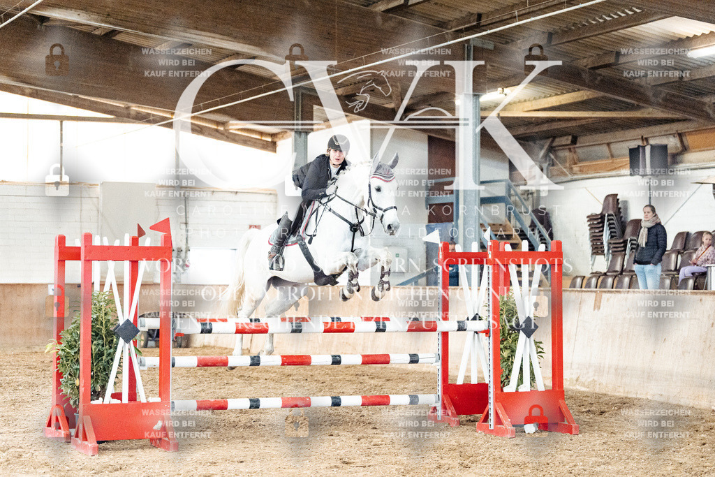 CK906274 | Turnierfotografie Pferdefotografie Trier Rheinland-Pfalz Pferdesport Reitsport Tierfotografie Sportfotografie Pferdevideo Pferdevideografie Equestrianvideography equestrianphotography  - Realized with Pictrs.com