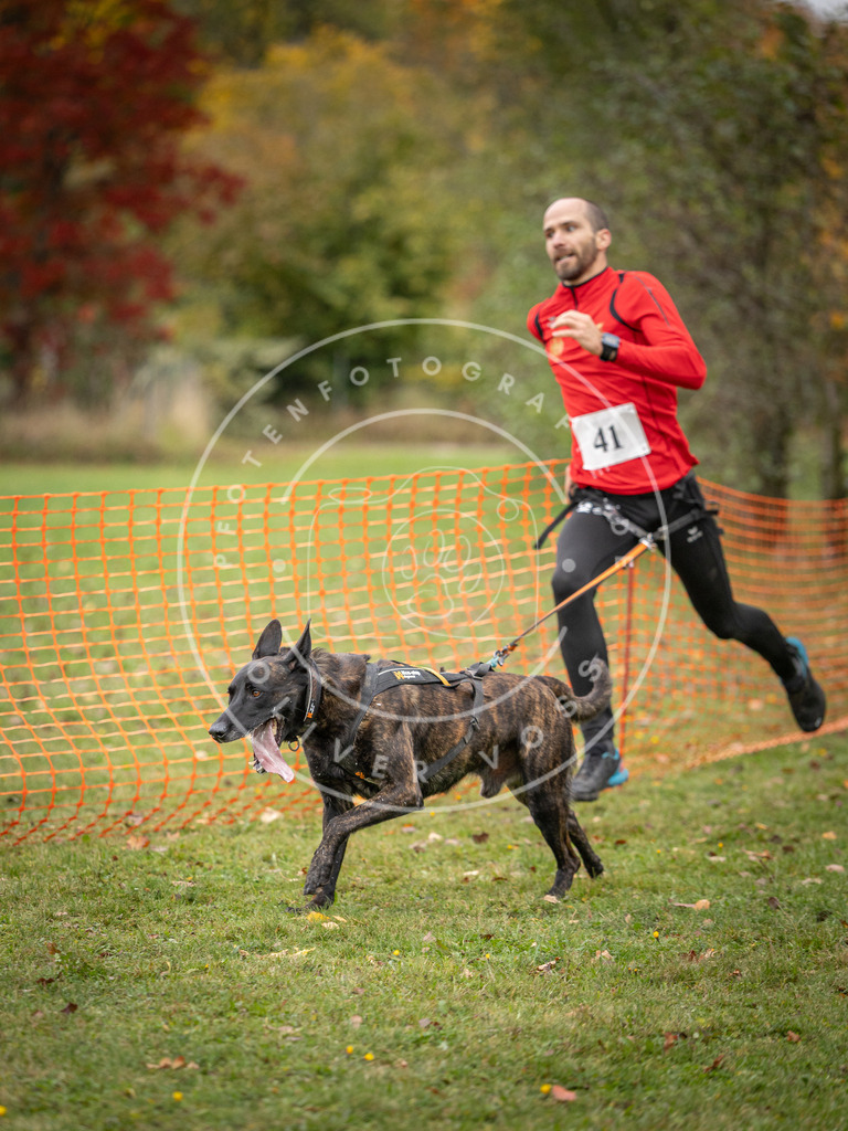 Pfotenfotografie_DV3A2308 | Hundefotografie, Tierfotograf, Pfotenfotografie, Fotoshooting Hund, Hunde Portrait, Hundesport, Hundeportraits, Heideshooting, Hunde, Sportfotograf, Hundefotograf, Turnierhundsport, THS,  - Realisiert mit Pictrs.com