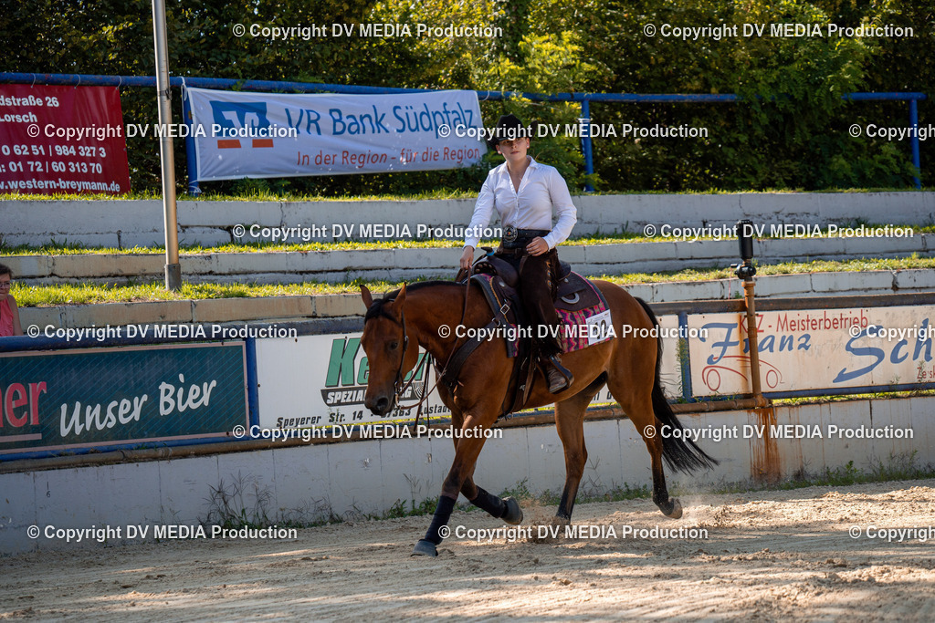 ZH100259 | dv-media-shop - Realisiert mit Pictrs.com