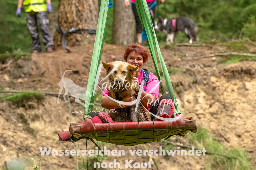 1336_ZZ93421-Bearbeitet | kk-dogfotos