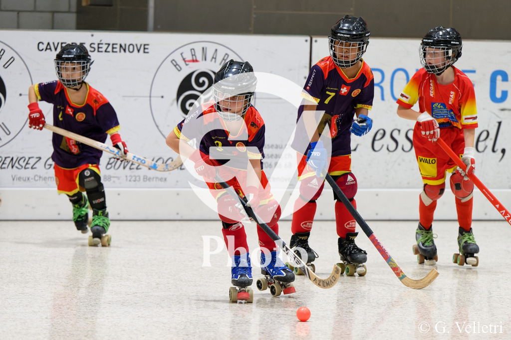 DSC_0582 | Velletri Photo