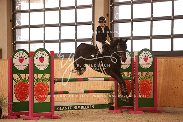 1J2A4005Leni Pell_ Emilie H_ Kn244_ Hohen Wieschendorf_ Glantz | Foto- und Videografie für alles rund ums Pferd. Hochwertige Bilder und Videos vom Spring- und Dressurreiten, Voltigieren & mehr. Jetzt aktuelle Veranstaltungen und Preise im Shop ansehen. - Realisiert mit Pictrs.com