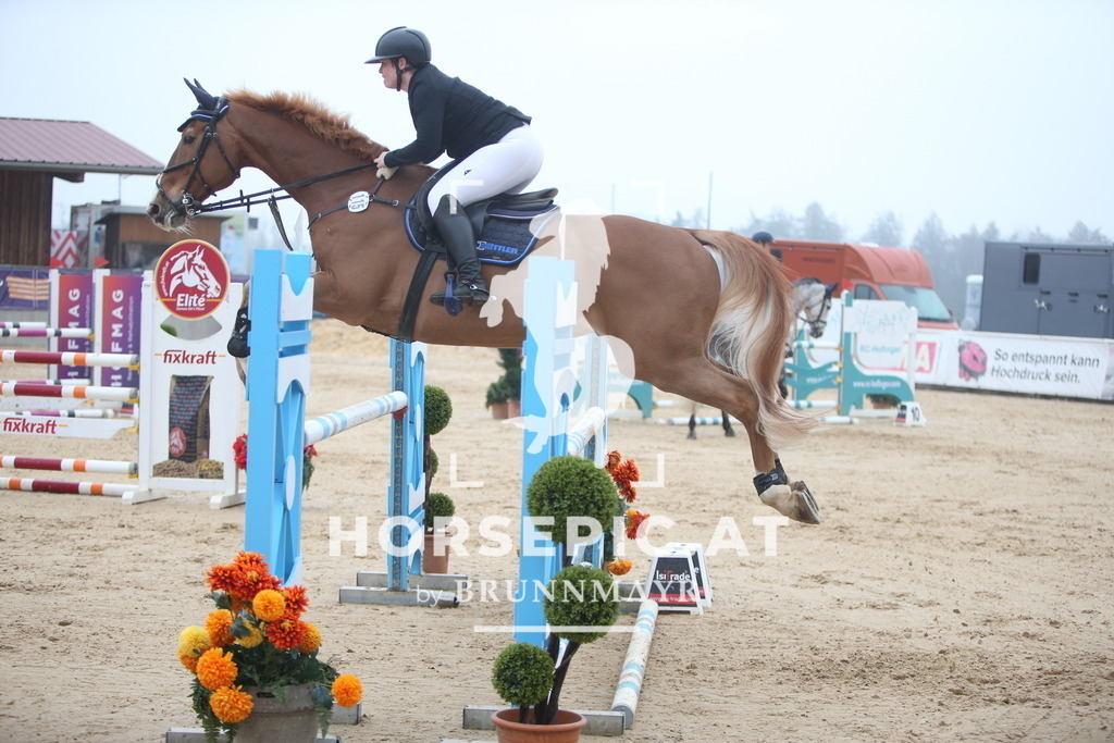PP013075 | Willkommen bei Brunnmayr - Design & Fotografie – Ihrem Spezialisten für Reitturniere und Pferdeveranstaltungen in Oberösterreich, Salzburg und Bayern! Seit über 17 Jahren sind wir leidenschaftlich dabei.