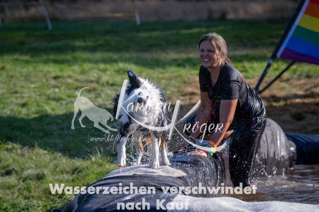 1711_ZZ93712 | kk-dogfotos
