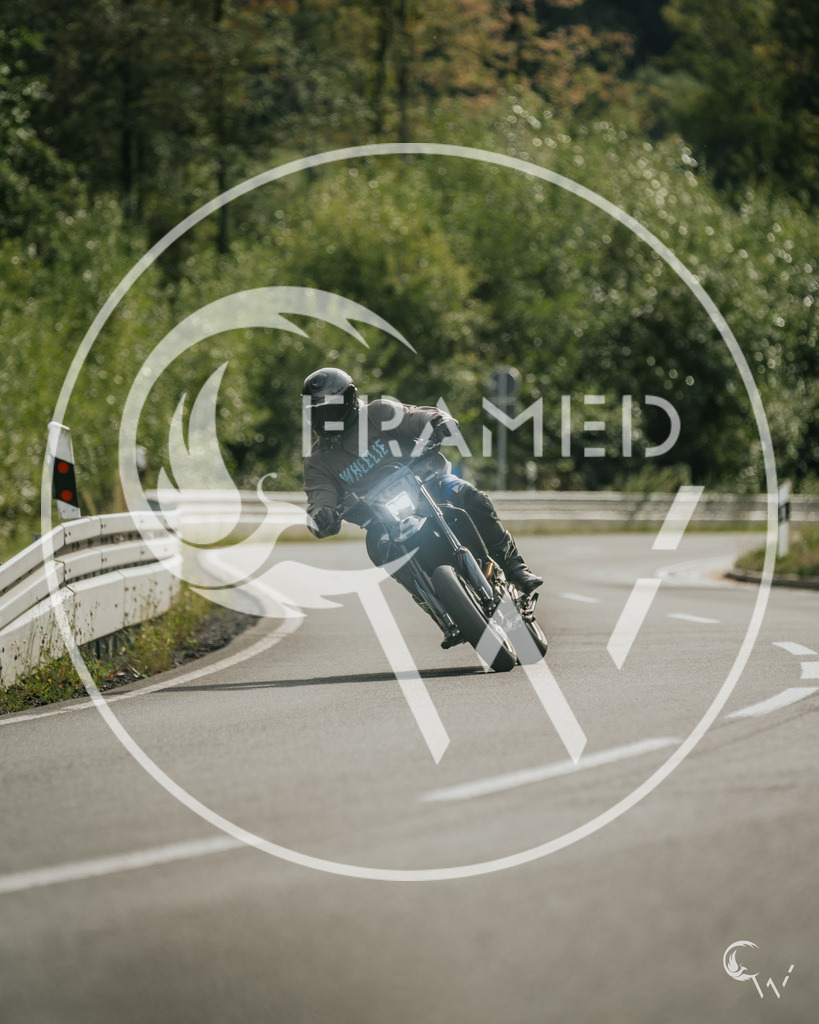 wheelie-3 | cw-framed