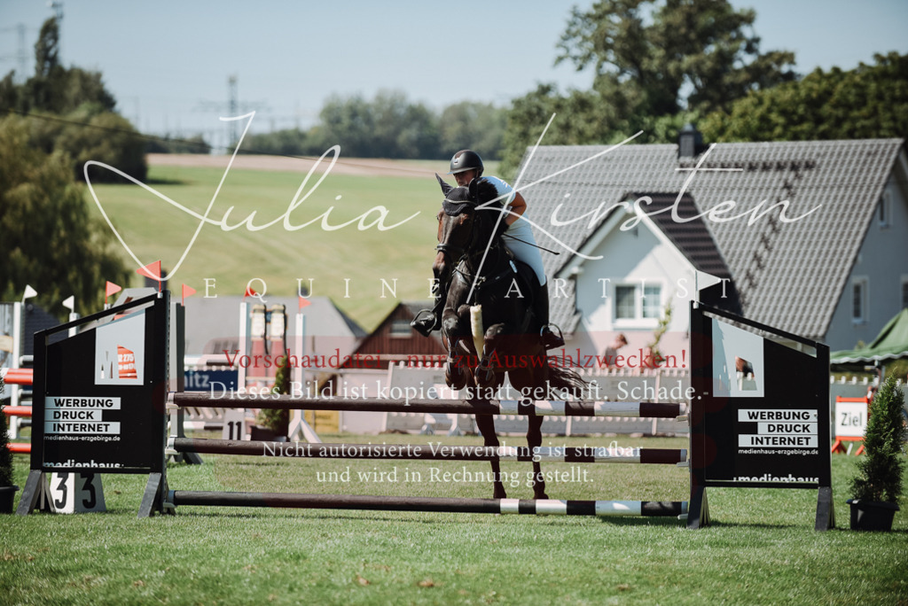 DSC_3057 | Pferde- und Turnierfotografie in Westsachsen. Pferdeportraits, Auftragszeichnungen und intuitive Kunst.
