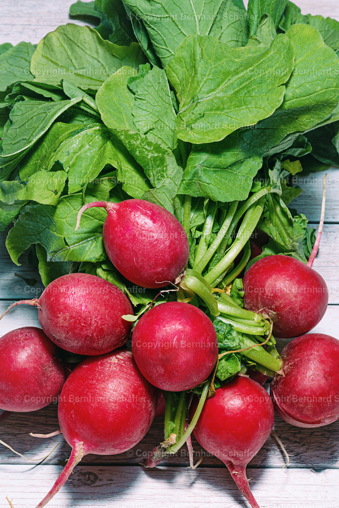 Radieschen Bio | Ein Bund Radieschen liegt auf einem weissen Holztisch. - Realisiert mit Pictrs.com