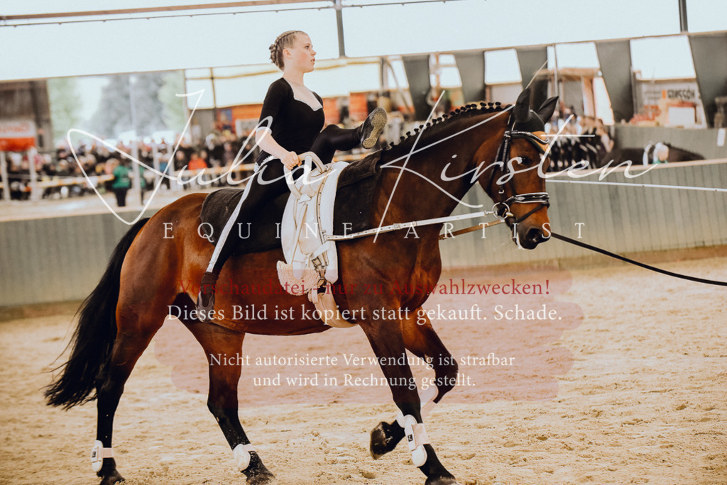 DSC_6864 | Pferde- und Turnierfotografie in Westsachsen. Pferdeportraits, Auftragszeichnungen und intuitive Kunst.