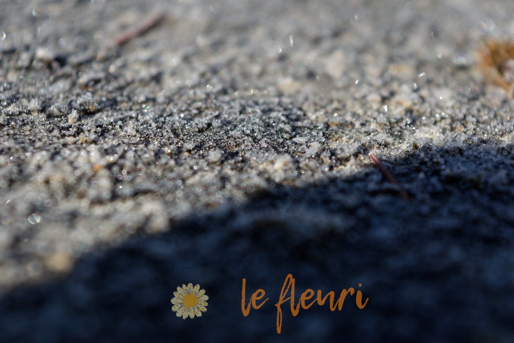 DSC_0255-NEF_DxO_DeepPRIME | Dies ist der Shop von Florian Blum - le fleuri. Langenthal, Bern, SchweizSie können hier meine oder ihre eigenen Fotos als Fotoprodukte kaufen. Tassen, Schlüsselanhänger, Taschen etc. können Sie hier gestalten.  - Realisiert mit Pictrs.com