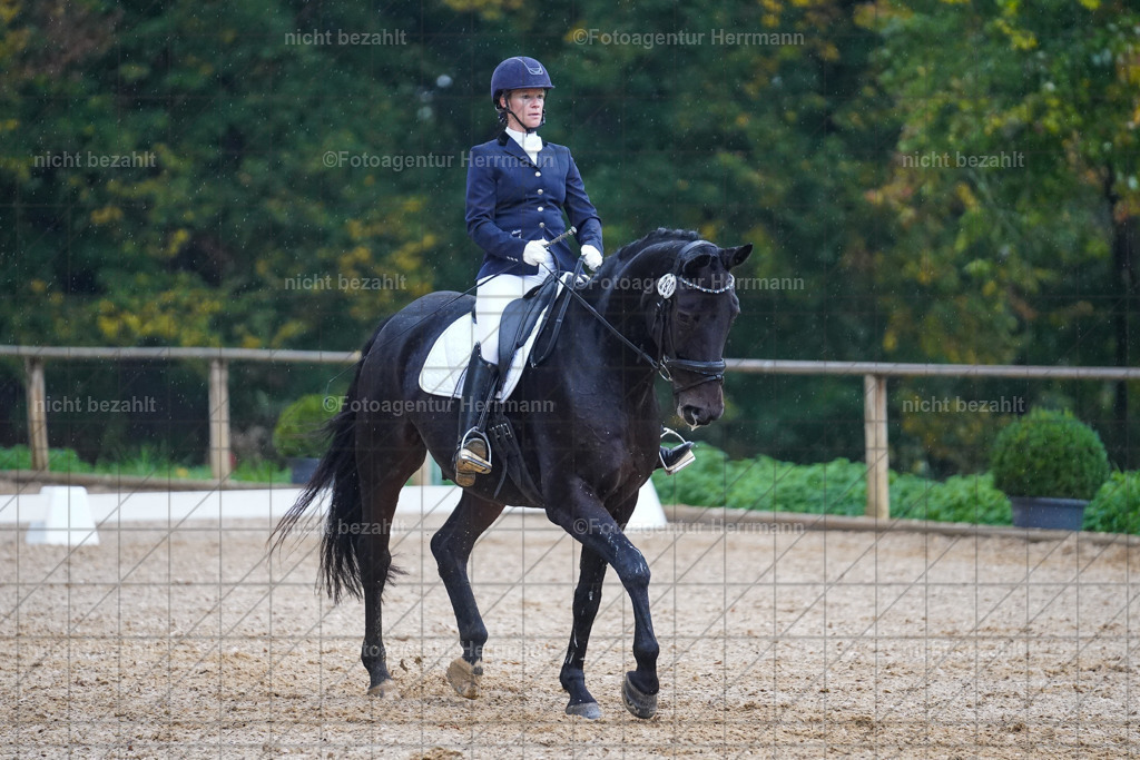 20221008-FAH02185 | Diessen am Ammersee, 2022, Dressur- und Springturnier, Reitsportbilder, Turnierfotografen Bayern, Pferdefotografen, Fotoagentur Herrmann, Turnierbilder