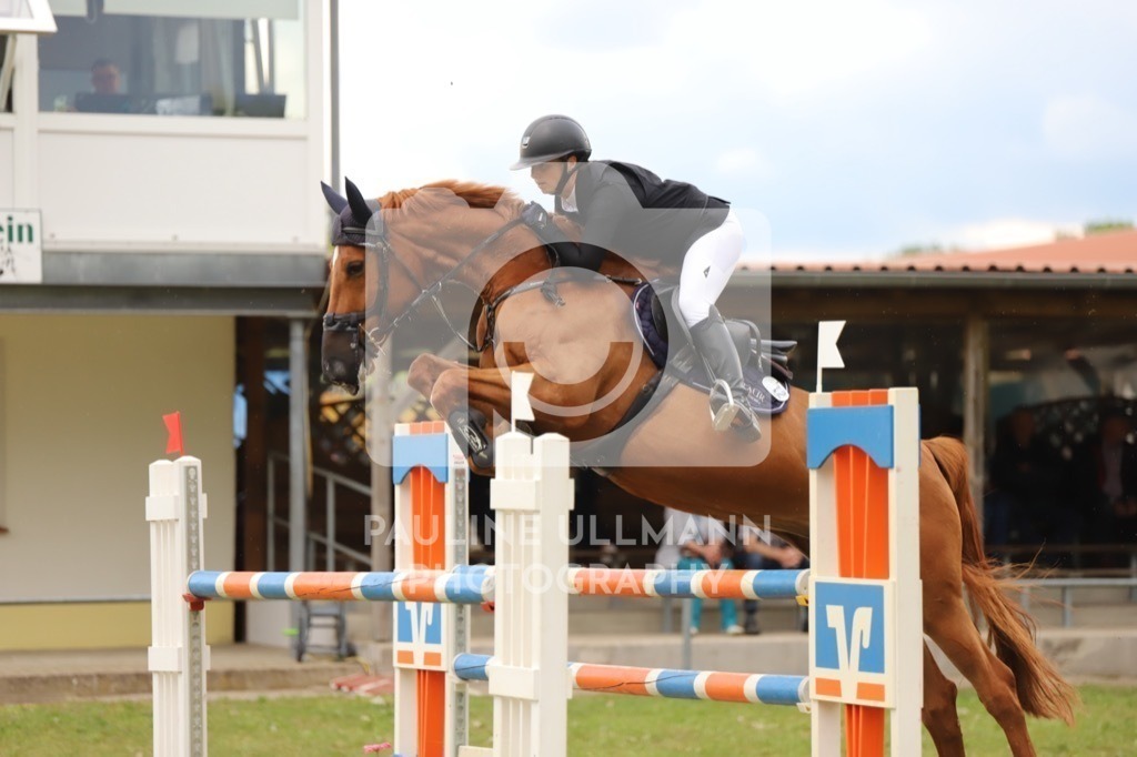 IMG_8304 | Pauline Ullmann Photography - Realisiert mit Pictrs.com