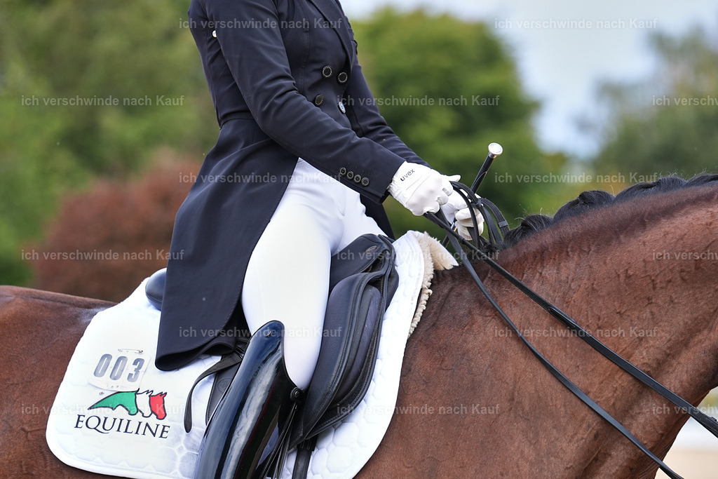 11-003-Dressur S___-Marixx-1718 | working equitationturnier fotograf videograf stoibphotography marixx film working equitation deutschland reitsport turnierfotografie eventfotografie equestrian events