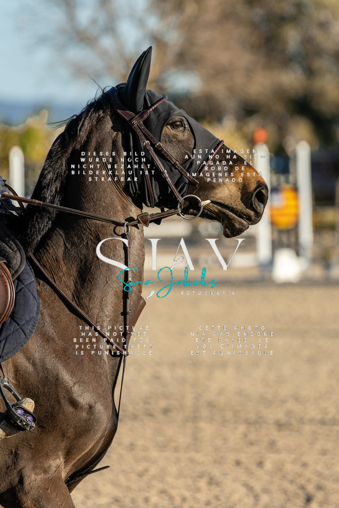 IMG_2395 | s-jay-photography - Realisiert mit Pictrs.com