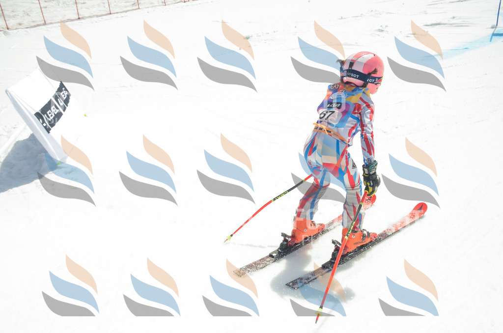 _ELE5403 | holidayphoto