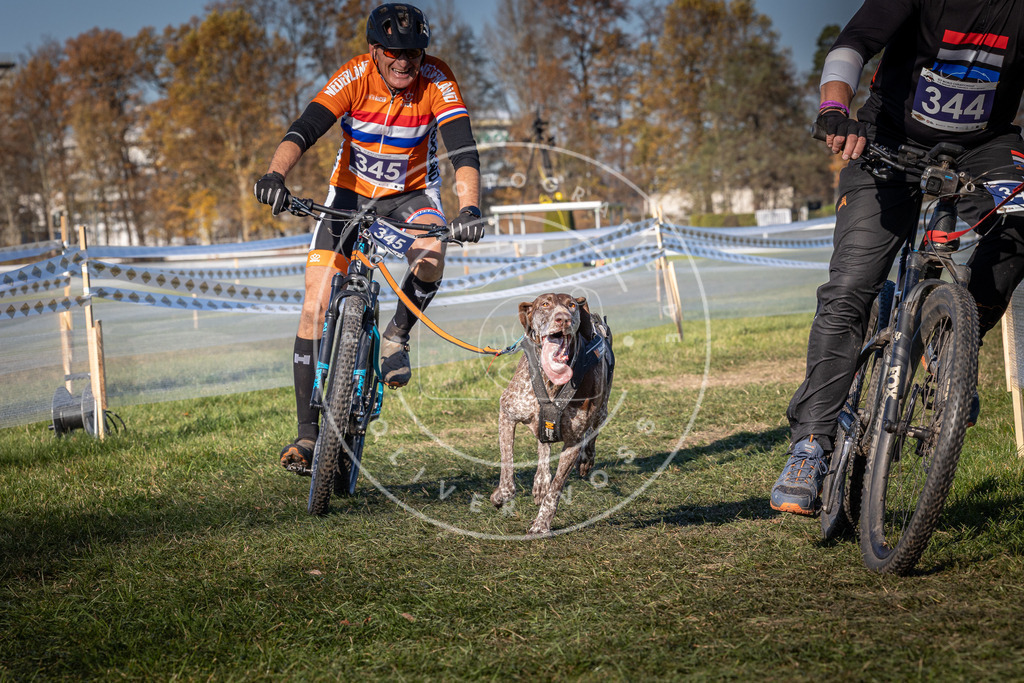 CaniXpix_0L8A6006 | Hundefotografie, Tierfotograf, Pfotenfotografie, Fotoshooting Hund, Hunde Portrait, Hundesport, Hundeportraits, Heideshooting, Hunde, Sportfotograf, Hundefotograf, Turnierhundsport, THS,  - Realisiert mit Pictrs.com