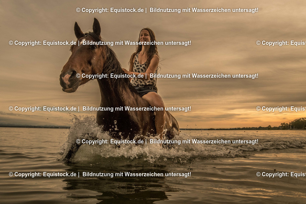 TS_20170616_Pferd_im_Wasser_0006 | Foto: Thomas Hartig