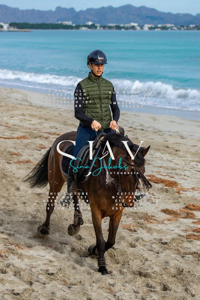 IMG_2527 | s-jay-photography - Realisiert mit Pictrs.com