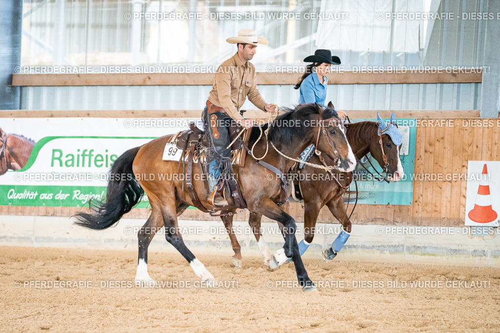 DSC00054 | Pferdegrafie