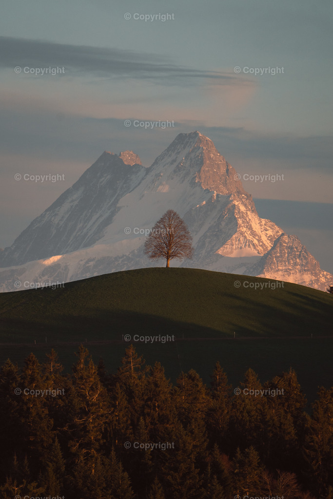 Sumiswald4 | yannikbuholzer - Realisiert mit Pictrs.com