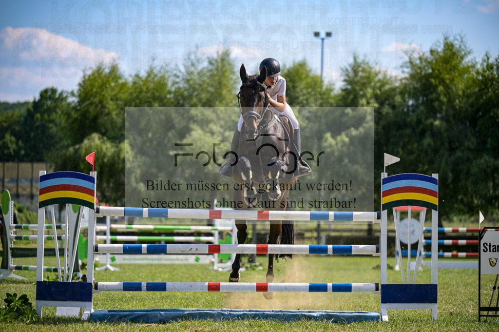 Reitturnier Voxtrup | Entdecke hochwertige Reitturnierfotos von Foto Oger. Professionell, emotional und authentisch – jetzt Lieblingsmomente im Shop bestellen.Deutschlandweite Turnierfotografie. - Realisiert mit Pictrs.com
