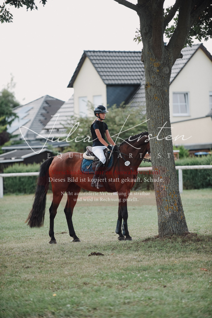 DSC_5729 | Pferde- und Turnierfotografie in Westsachsen. Pferdeportraits, Auftragszeichnungen und intuitive Kunst.