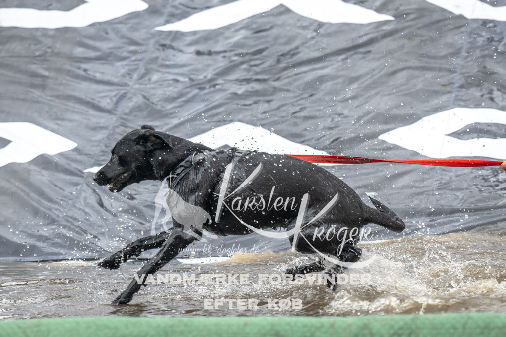 1348_ZZ93382 | kk-dogfotos
