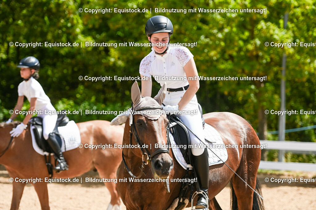 20230715_09_Dressur-WB_0299 | equistock