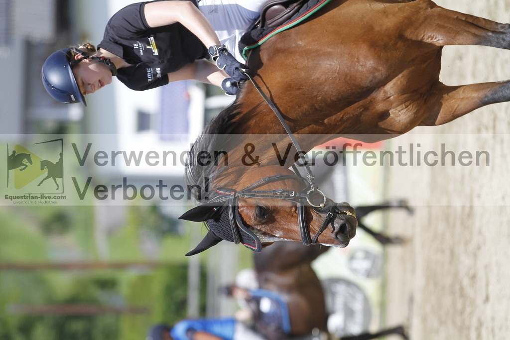 _MG_5290 | equestrian-live-com