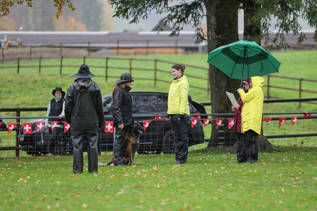 2025_Rally_Obedience_SM-171 | Ich fotografiere Hundeausstellungen, Sportanlässe, Zuchtstätten, Hundezucht, Hundeportrait, Lagotto - Realisiert mit Pictrs.com