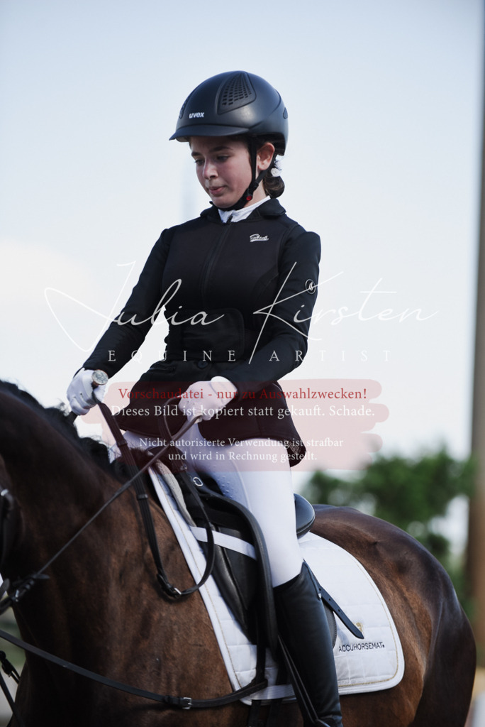 DSC_9943 | Pferde- und Turnierfotografie in Westsachsen. Pferdeportraits, Auftragszeichnungen und intuitive Kunst.