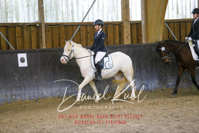 IMG_1649 | Turniersportfotografie; Pferdefotografie; Dressurfotografie