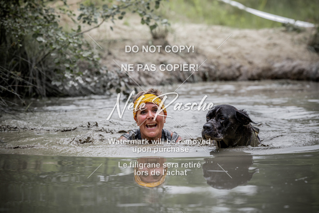nelerasche_so1330-1400_342 | nelerasche