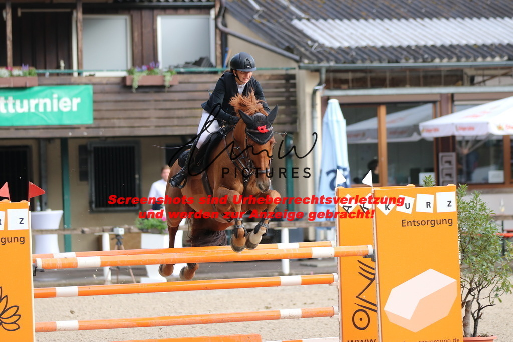 IMG_8716 | lmwpictures - Realisiert mit Pictrs.com