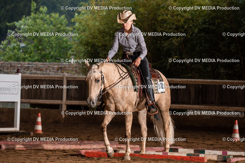 Erbach Tag 3-36 | dv-media-shop - Realisiert mit Pictrs.com