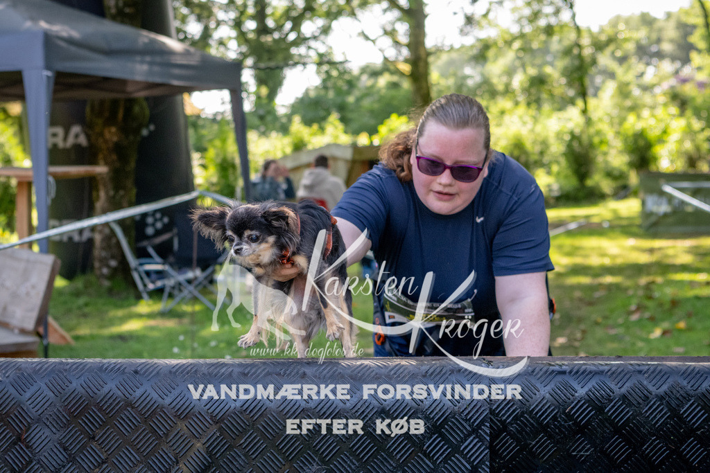 1544_ZZ93176 | kk-dogfotos