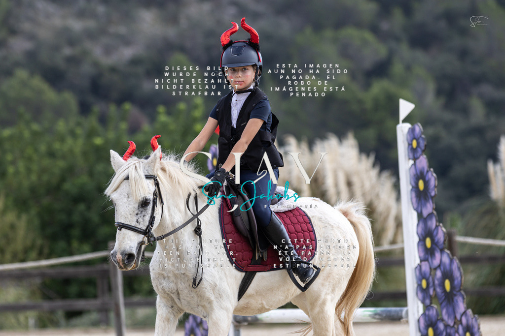 IMG_2256 | s-jay-photography - Realisiert mit Pictrs.com