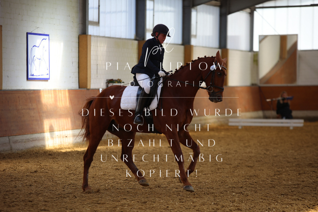 IMGT4762 | pl-fotografie