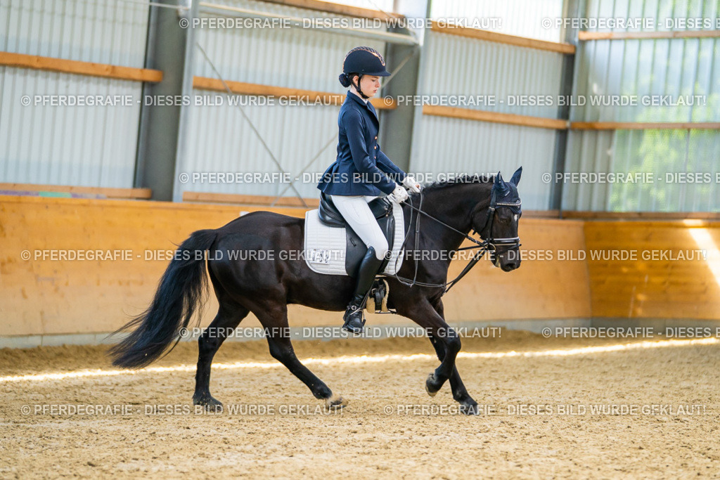 DSC08962 | Pferdegrafie