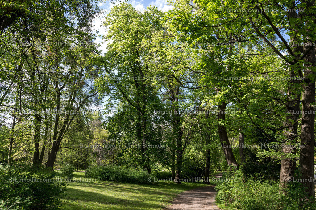 10049-3832 - Schloßpark Ballenstedt | Stockfoto und Bilderpool mit Bildmaterial aus Deutschland, dem Harz, Halberstadt, Quedlinburg, Wernigerode und weltweit. Qualitativ hochwertige und professionelle Fotos anschauen und kaufen. - Realisiert mit Pictrs.com