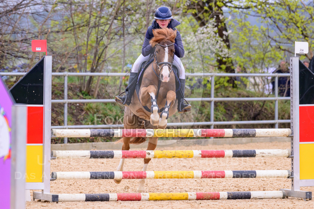 10042026-Mammendorf-Prfg16-0515 | Fokus Hufschlag Fotografie - Realisiert mit Pictrs.com