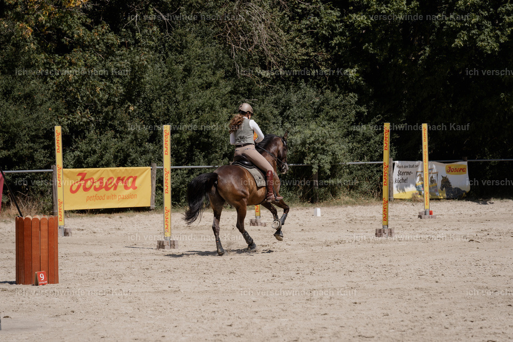 WM_SP_131_SinaFilmArt_IN06838 | working equitationturnier fotograf videograf stoibphotography marixx film working equitation deutschland reitsport turnierfotografie eventfotografie equestrian events